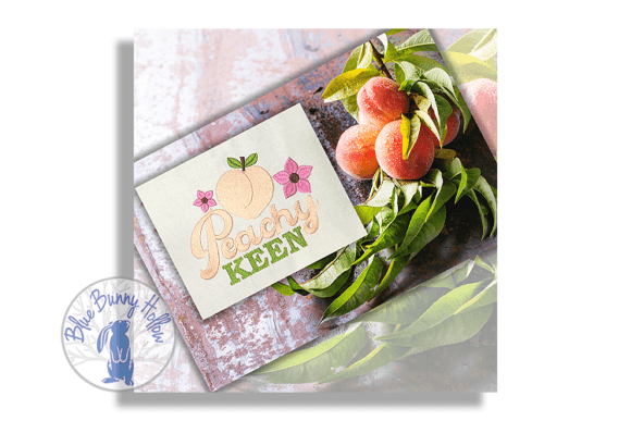 Peachy Keen: A Designer’s Review for Craft Fairs