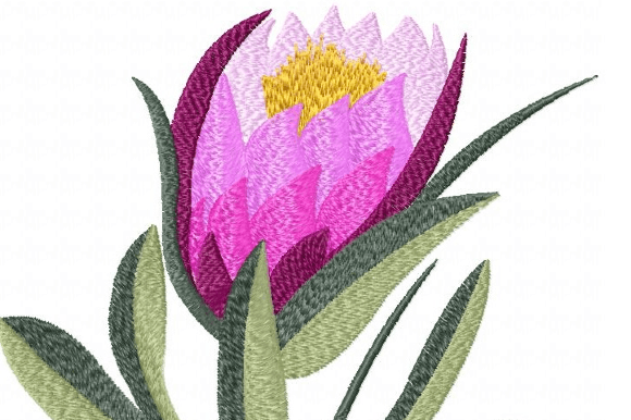 Protea Goblet: A Designer’s Review for Boutique Sweatshirts