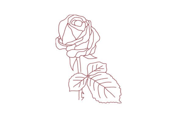 Reviewing Rose Flower with a Leaf for Real Projects